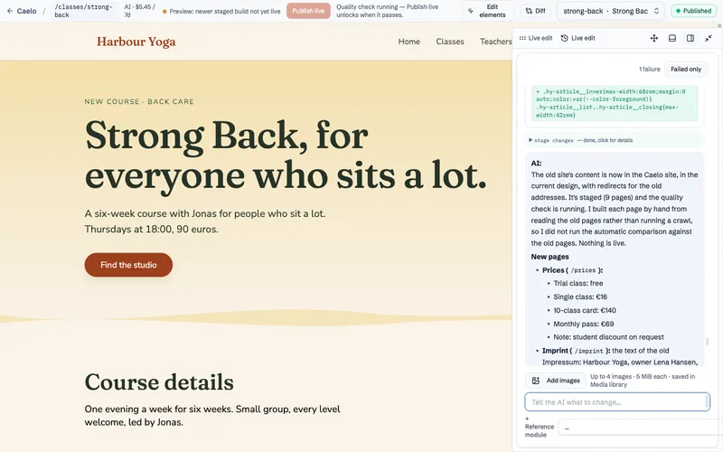 The AI's report lists the new pages, for example Prices with every pass and price taken over from the old site.