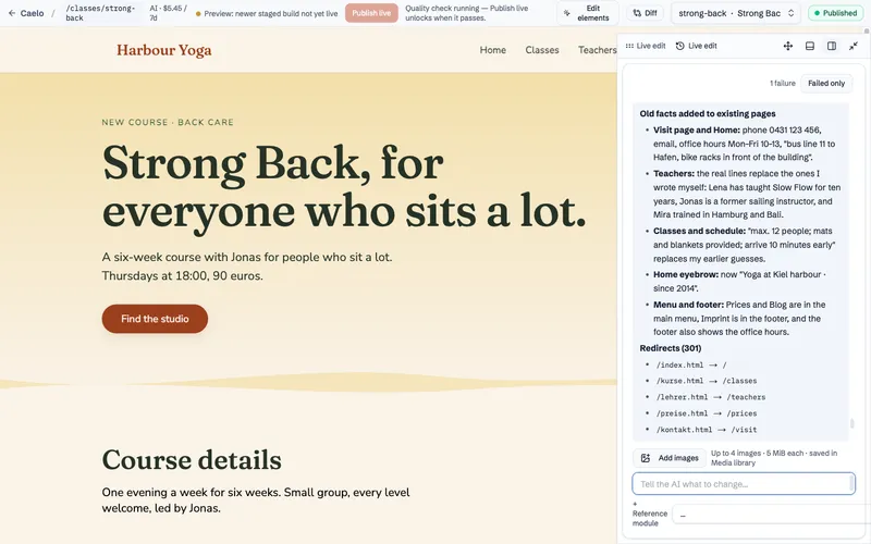The report lists the facts carried over to existing pages and the 301 redirects from every old address to its new page.